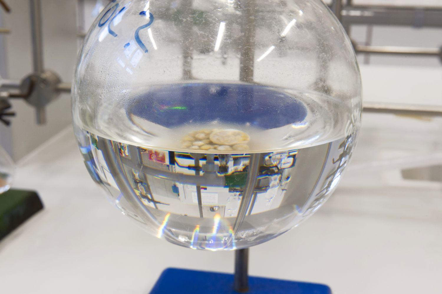 Katalytické a membránové procesy