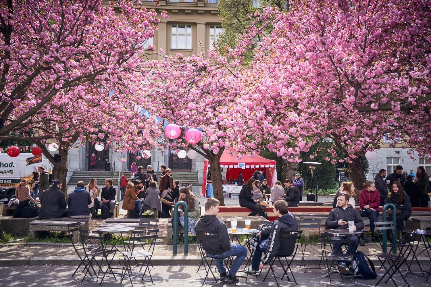 Assistant-professors